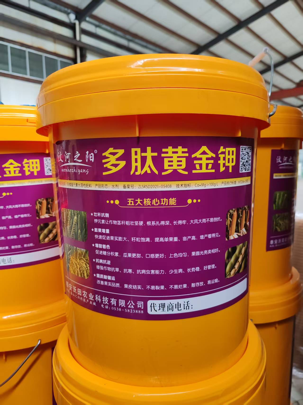 多肽黄金钾