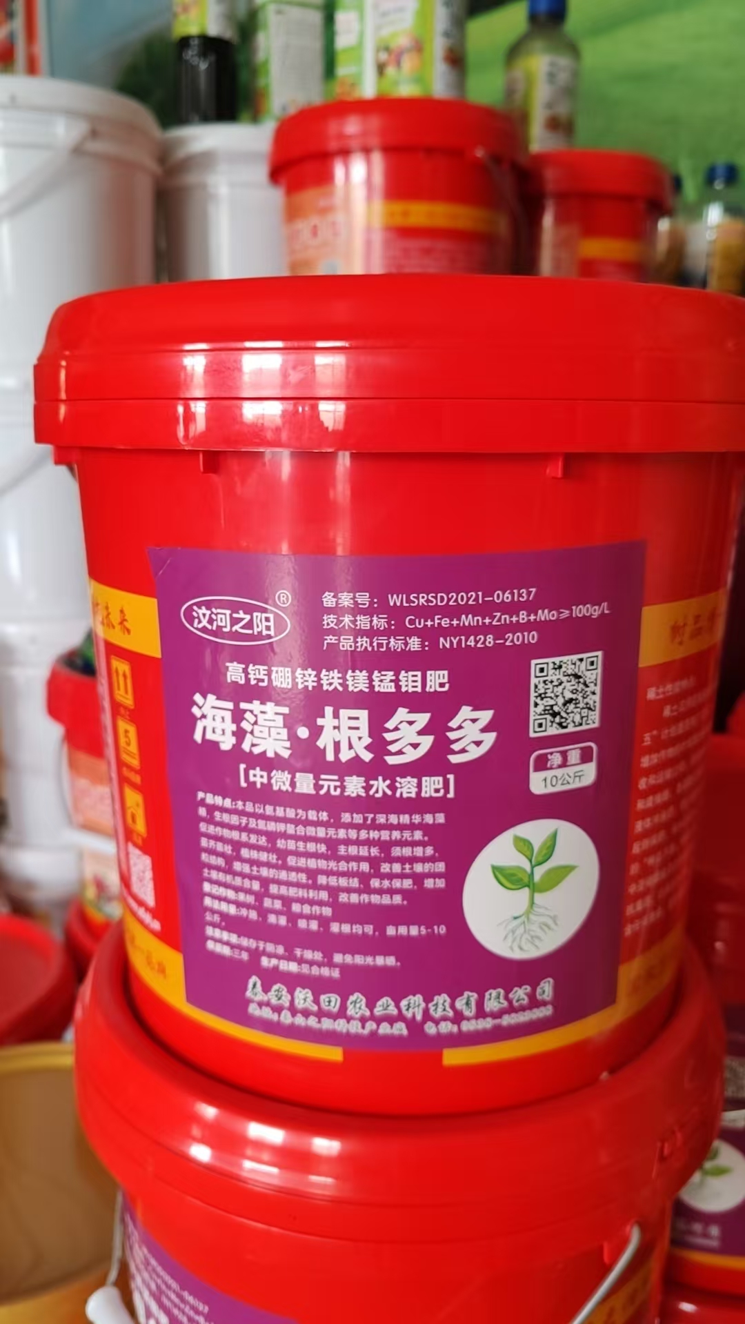 海藻根多多